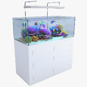 3D Aquarium 01 model